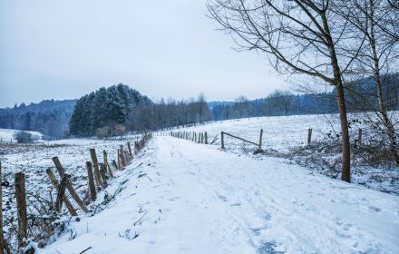 View into the vastness of the Westerwald