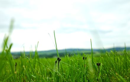 View into the vastness of the Westerwald