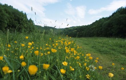 Natur & Umgebung